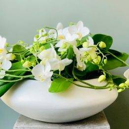 Orchidee Coupe wit 4